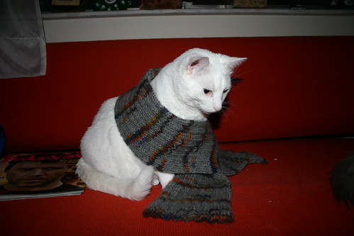 Sam is quite the knitter - he whipped up this scarf in 2 weeks.