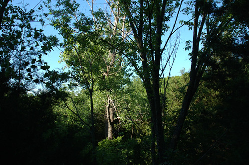 Birding Area - Spring Creek Preserve