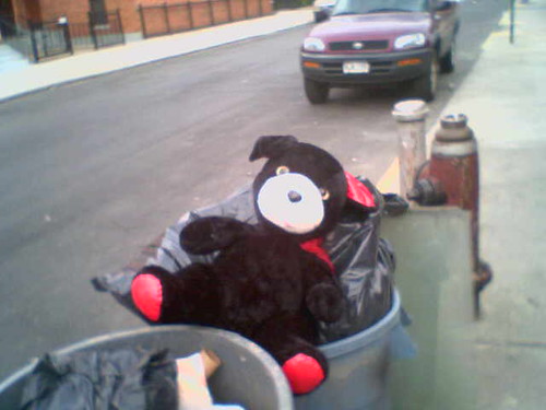 garbage bear