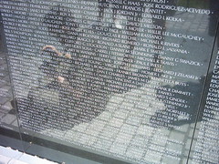 The Vietnam Memorial panel 42E