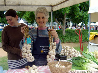 Gilles Bonin Organic Garlic