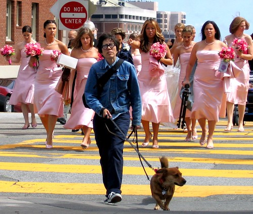 the bridesmaids and the dog