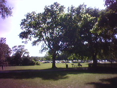 Sunday Afternoon - Pinkerton Park