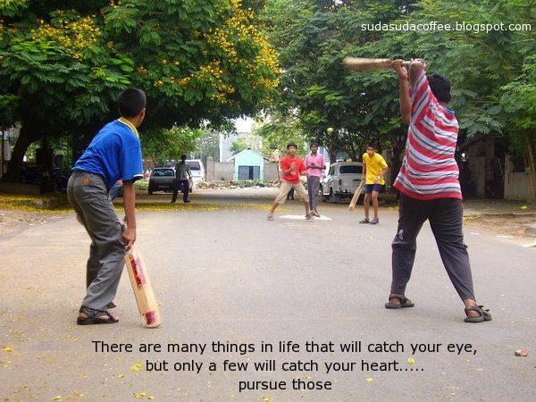Pursue your dreams quote photography cricket