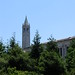 The Campanile (which, shockingly, plays the sodding US national anthem on the hour), along with the roof of the Doe Library.