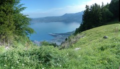 panoramic - Lac Leman - Vevey-Montreux